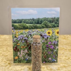 Bienenweide Pollenschmaus für 7,5 qm im Fläschchen - 15 Gramm