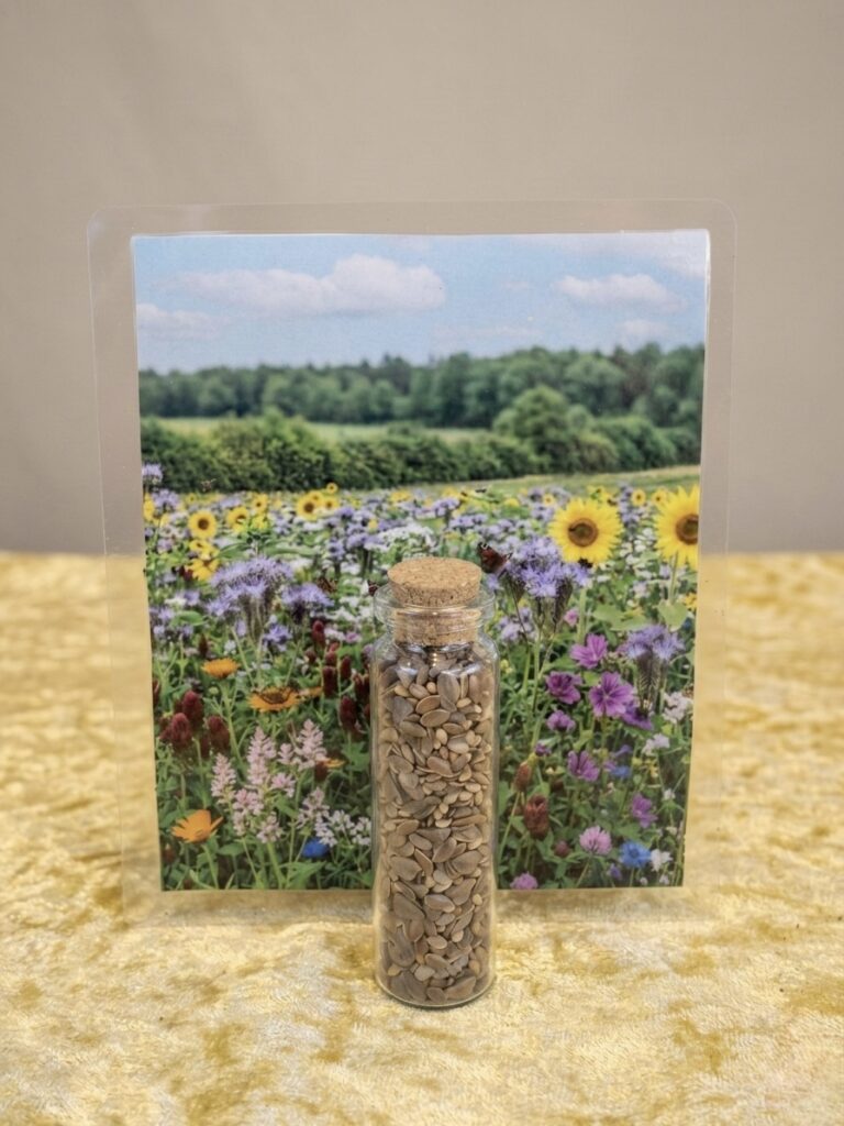 Bienenweide Pollenschmaus für 7,5 qm im Fläschchen - 15 Gramm